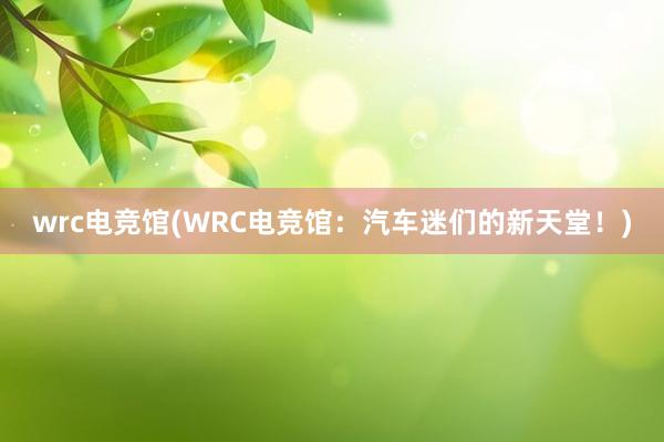 wrc电竞馆(WRC电竞馆：汽车迷们的新天堂！)
